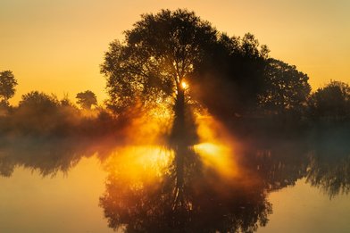 Sonnenaufgang an einem See, mit einem Baum, durch den die Sonne hindurchscheint. - Copyright: Bild von simonevomfeld/pixabay