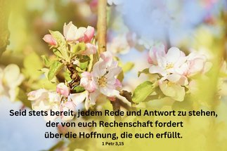 Copyright: N. Schwarz © GemeindebriefDruckerei.de