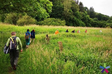 Menschen gehen auf einem Weg durch hohes Gras - Copyright: Ev. Frauenwerk